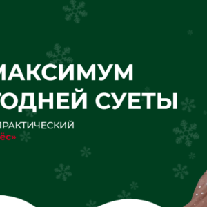 Новогодний чёс (София Рожновская)