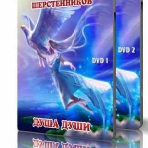 Душа Души (Николай Шерстенников)