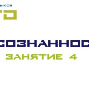 СТО Осознанность Занятие №4 (Lee)