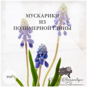 Мускарики (Антонина Мельниченко)
