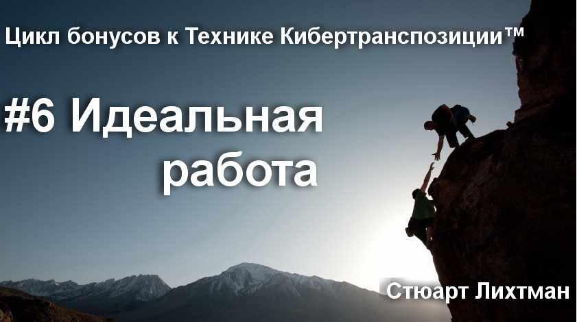 Идеальная работа (Стюарт Лихтман)