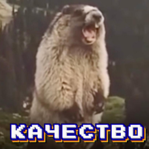 Качество (Виталий Унжаков)