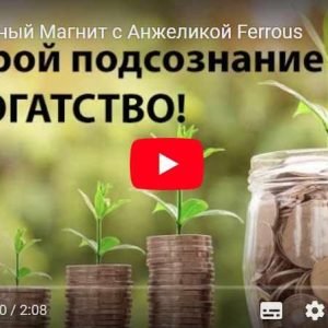 Денежный магнит (Анжелика Ферроус)