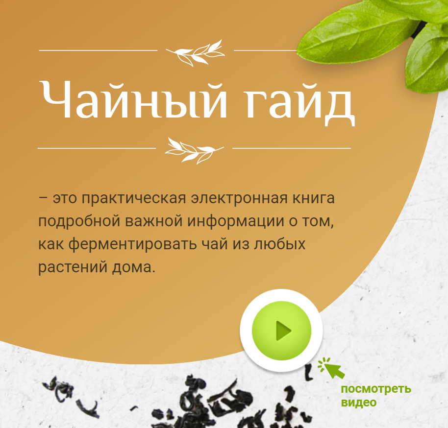 Чайный гайд (Ася Чудновская)