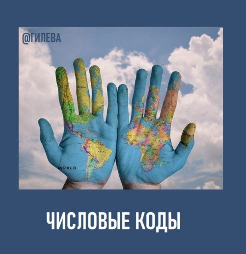 Числовые Коды (Екатерина Гилева)