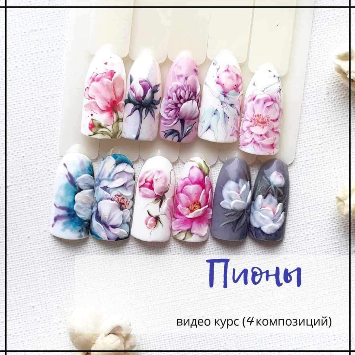 Пионы (Антонина Титкова)