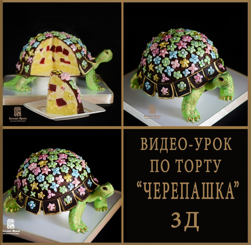 Торт Черепашка (Ирина Козлова)