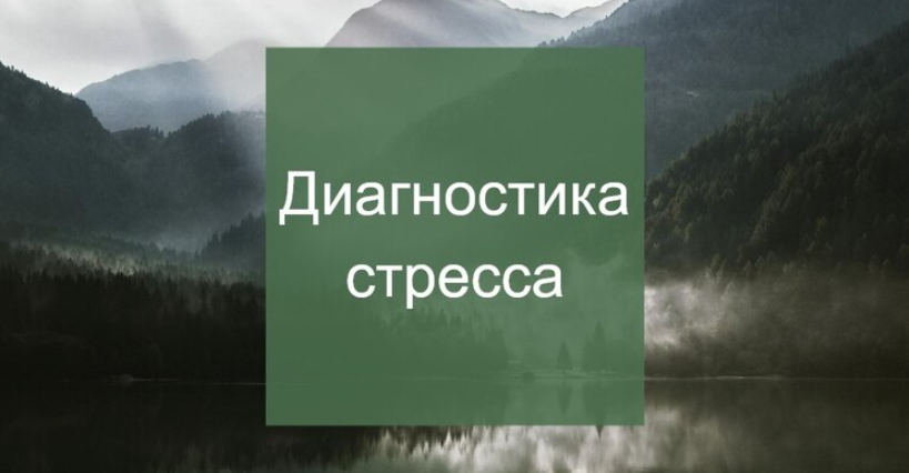 Диагностика стресса (Елена Суханова)